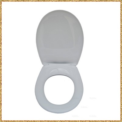 161527 - Abattant wc