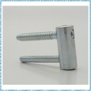 600704 – Fiche 2D femelle