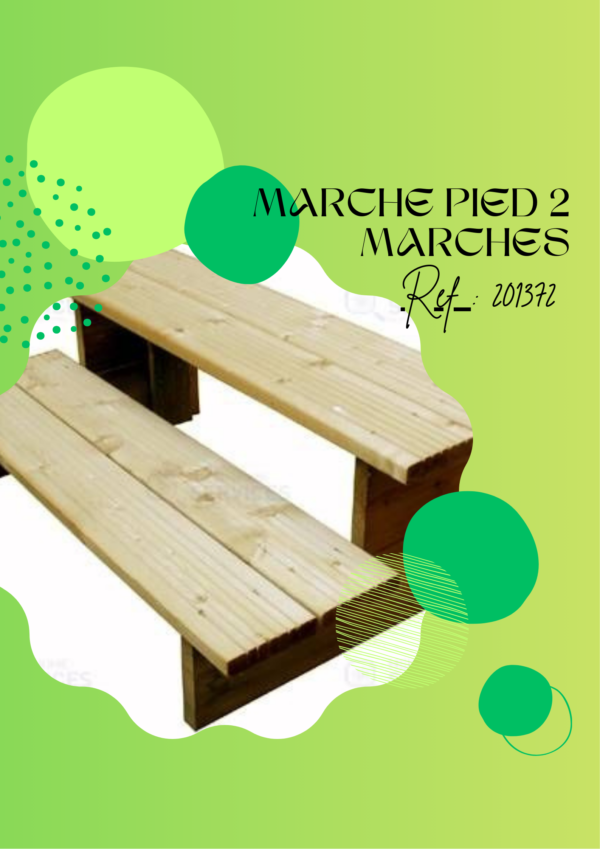 201372 - Marche pied - 2 marches