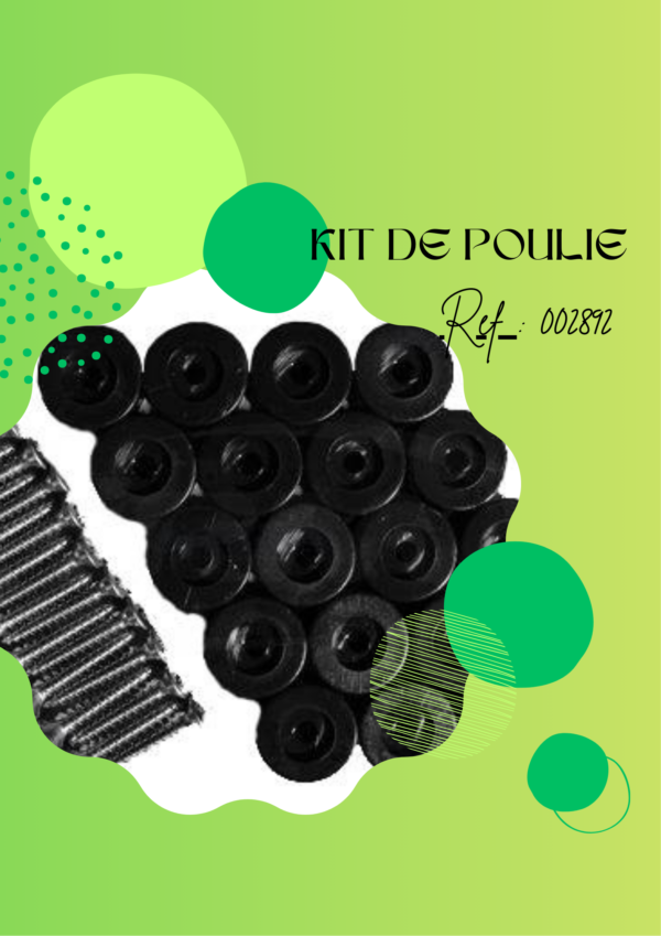 002892 - Kit poulie